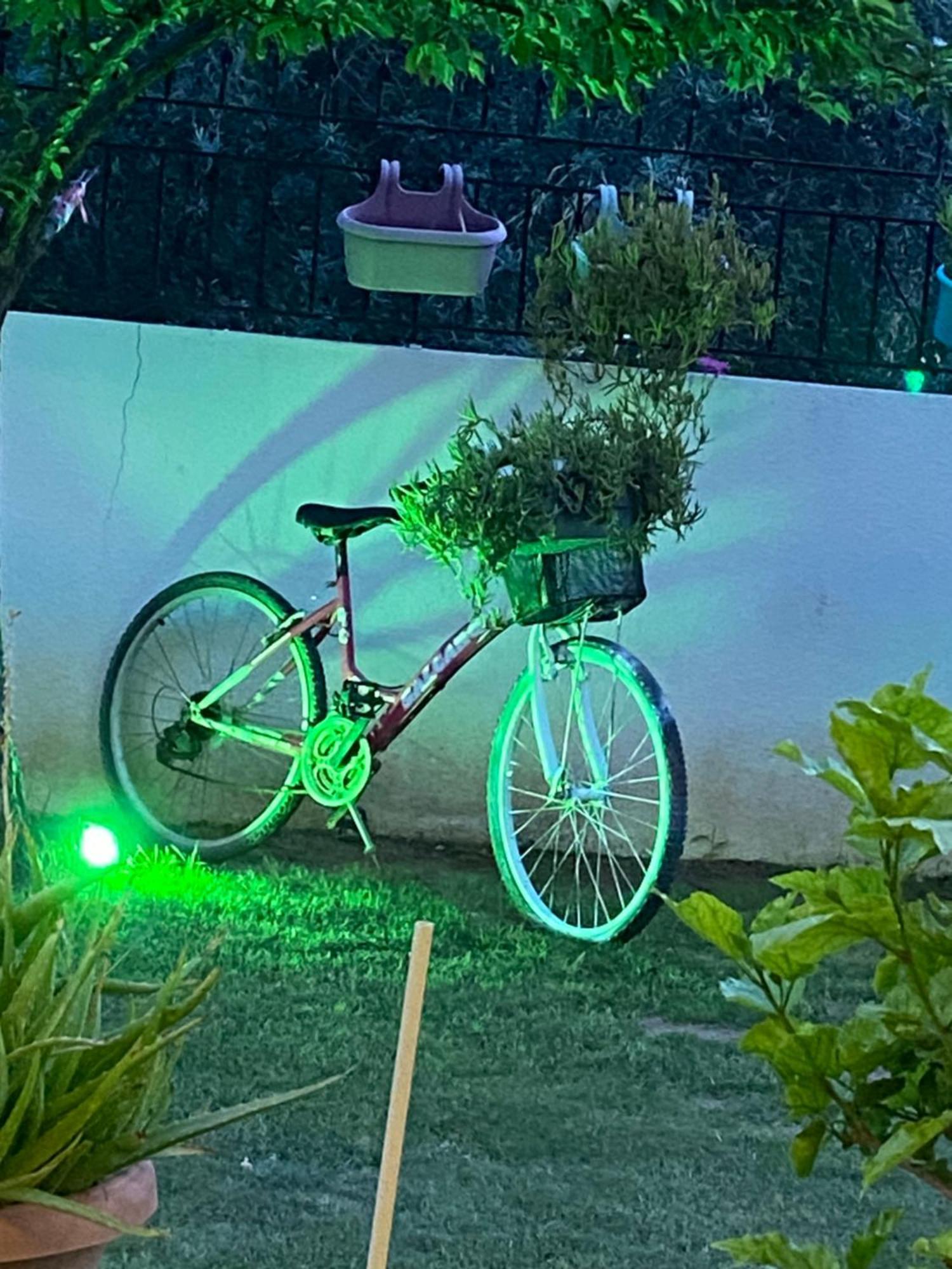 Villa Inci Çeşme Dış mekan fotoğraf