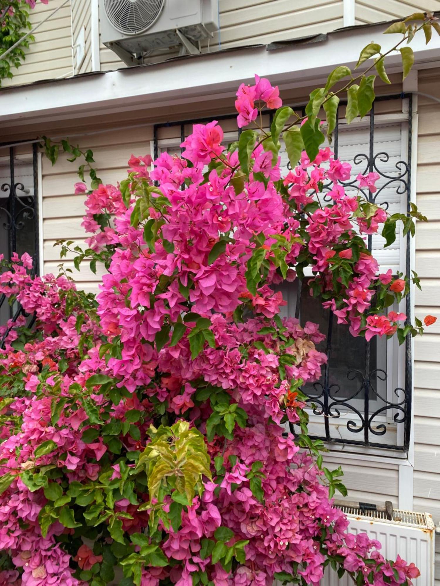 Villa Inci Çeşme Dış mekan fotoğraf